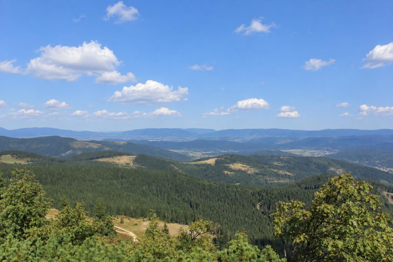 Szlak z Hali Miziowej w stronę Pilska