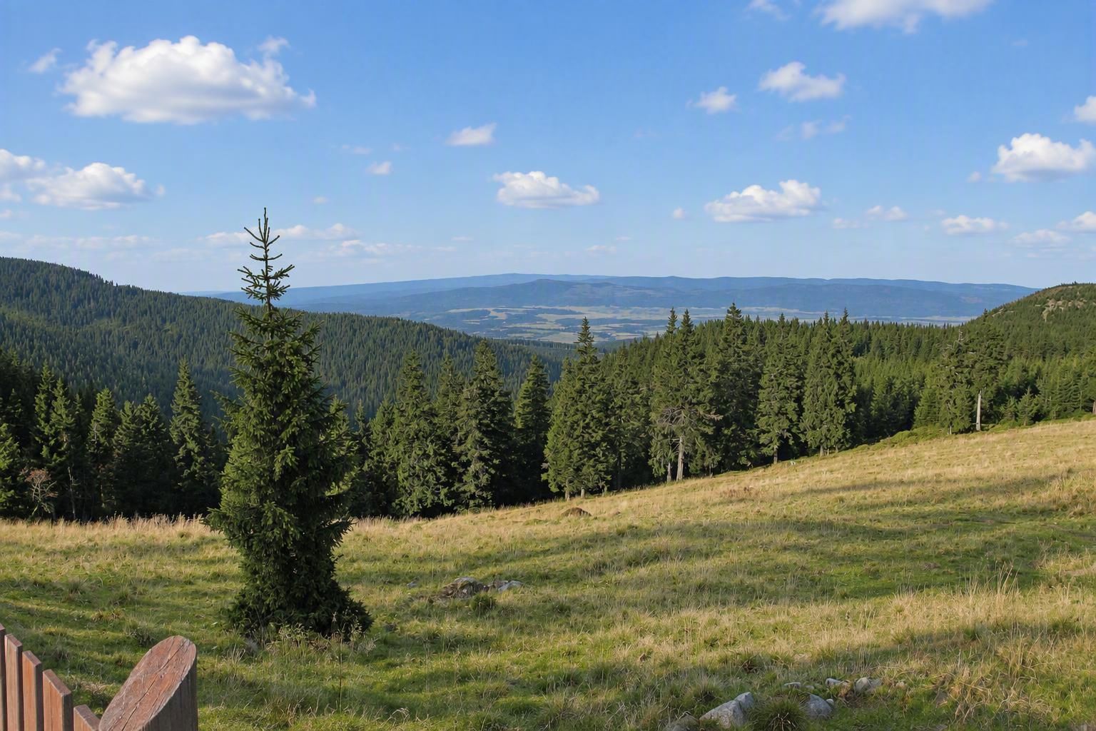 Widok spod schroniska Na Śnieżniku w stronę Kotliny Kłodzkiej