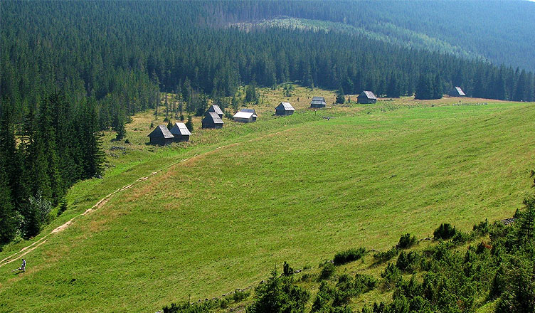 Polana pod Kopieńcem, fot: ŁukaszWu / Wikimedia Commons