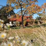 sady Sady pod Ślężą