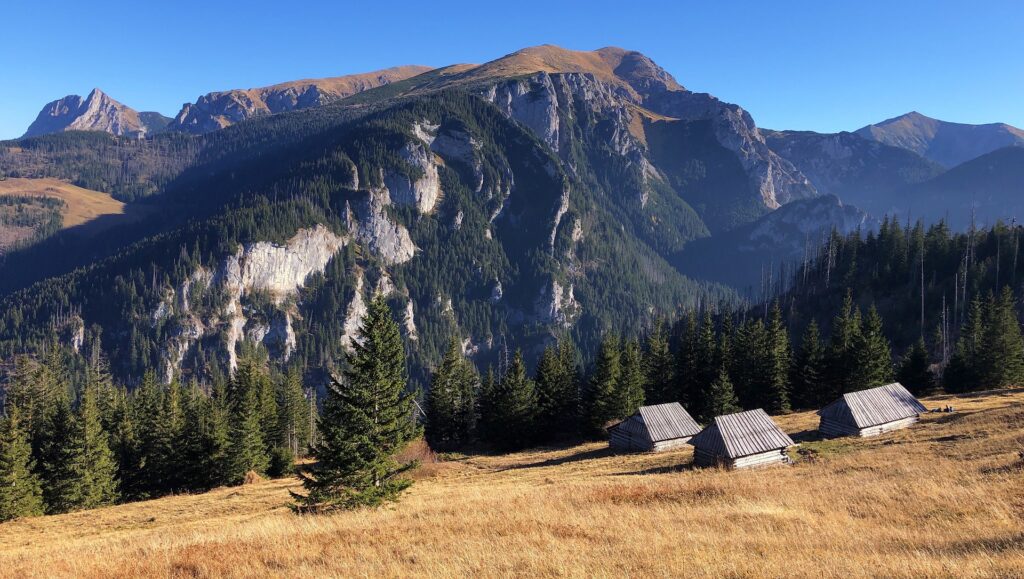 hala stoly Hala Stoły w Tatrach Zachodnich