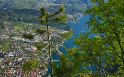 via ferrata dell amicizia Via ferrata dell'Amicizia - opis trasy, trudność i dojście